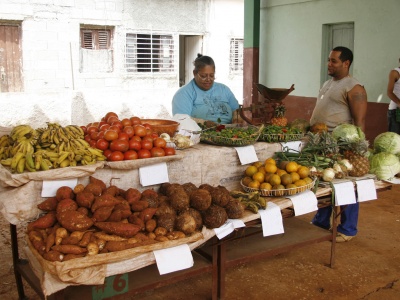 Neue Möglichkeiten in der kubanischen Wirtschaft