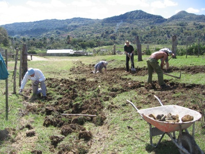 Feldarbeiten sind Bestandteil der freiwilligen Arbeitseinsätze.
