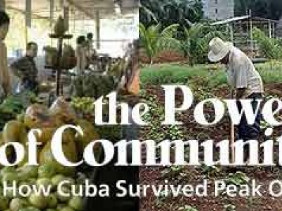 Regensburg: Film "The power of Community" - Cubas Urbane Gärten