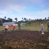 9. März: Arbeitseinsatz auf einem Gemüsefeld in Filicidad hinter dem Gästehaus, Foto: Cuba Sí
