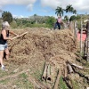 16. März: Arbeit wieder in Campo Hermoso, Foto: Cuba Sí