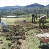 Feldarbeit bei den Cuba Sí-Workcamps