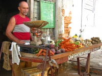 Frisches Obst und Gemüse auf einem Bauernmarkt